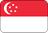 Singapore flag