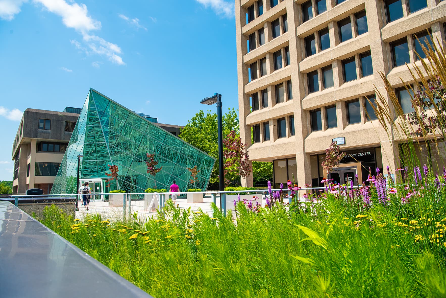 State University of New York at New Paltz campus
