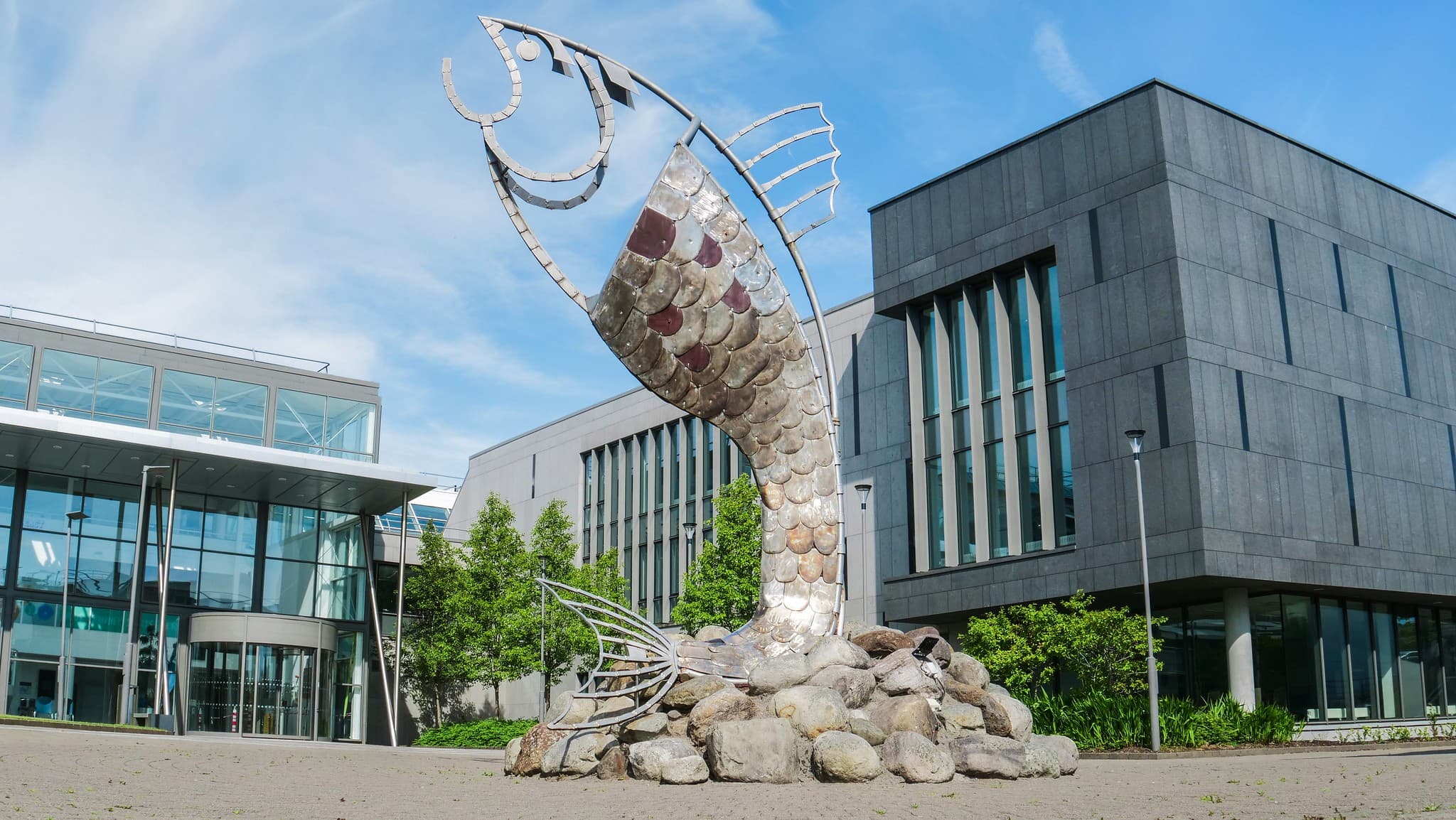 Atlantic Technological University, Sligo campus