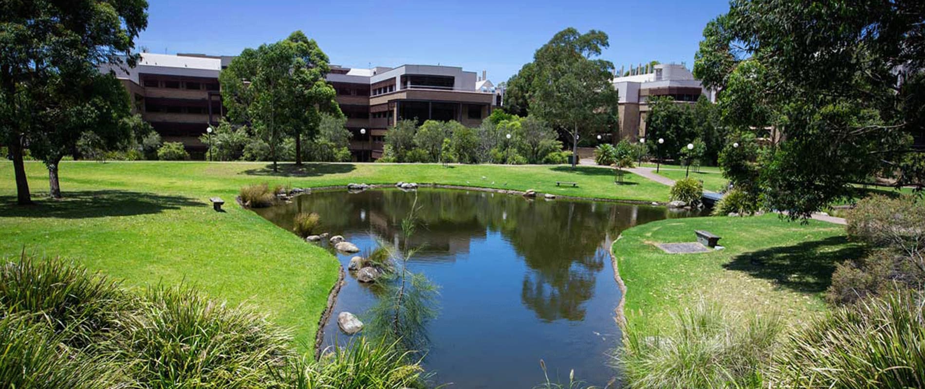 University of Wollongong campus