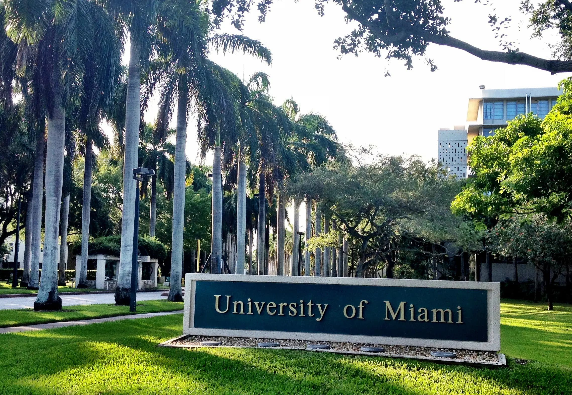 University of Miami campus