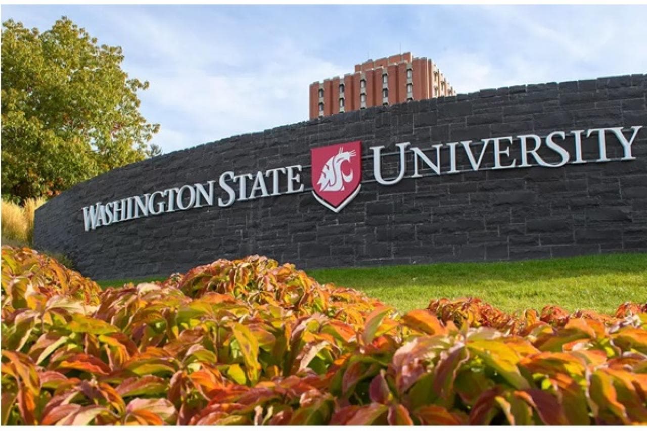 Washington State University campus