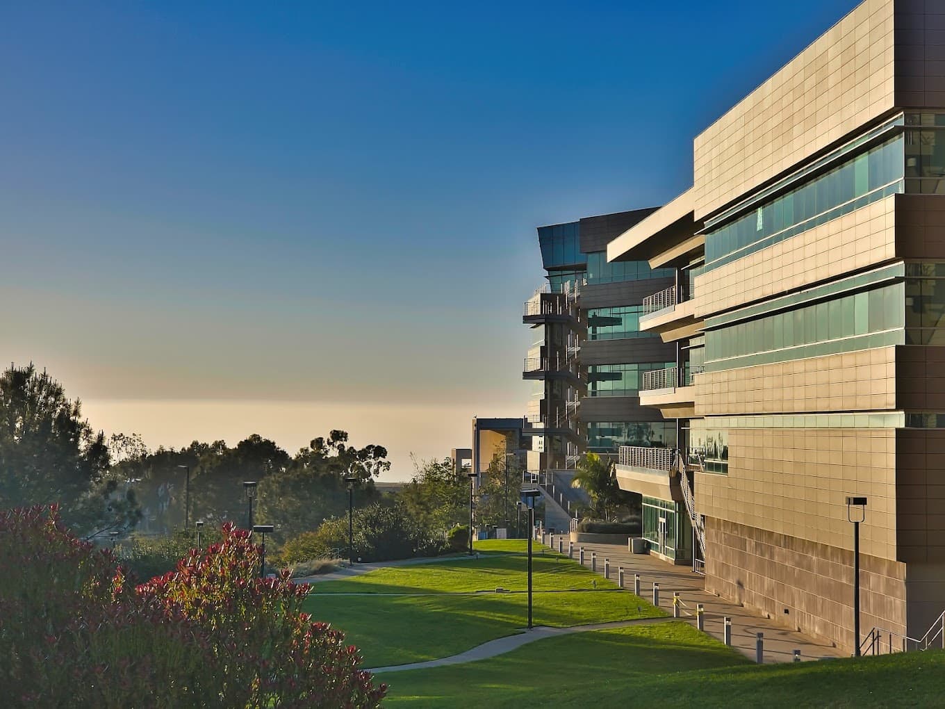 Rady School of Management campus