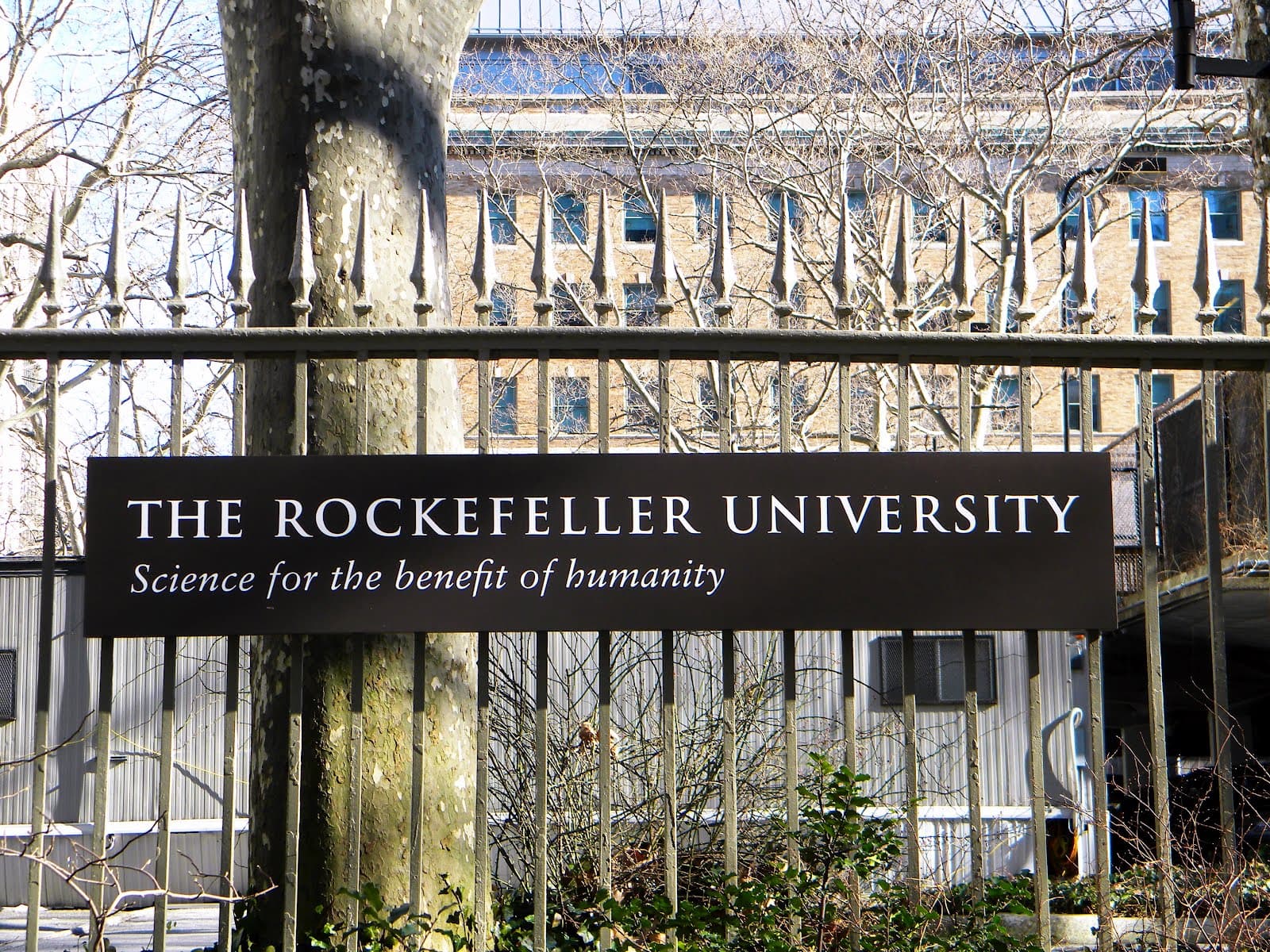 Rockefeller University campus