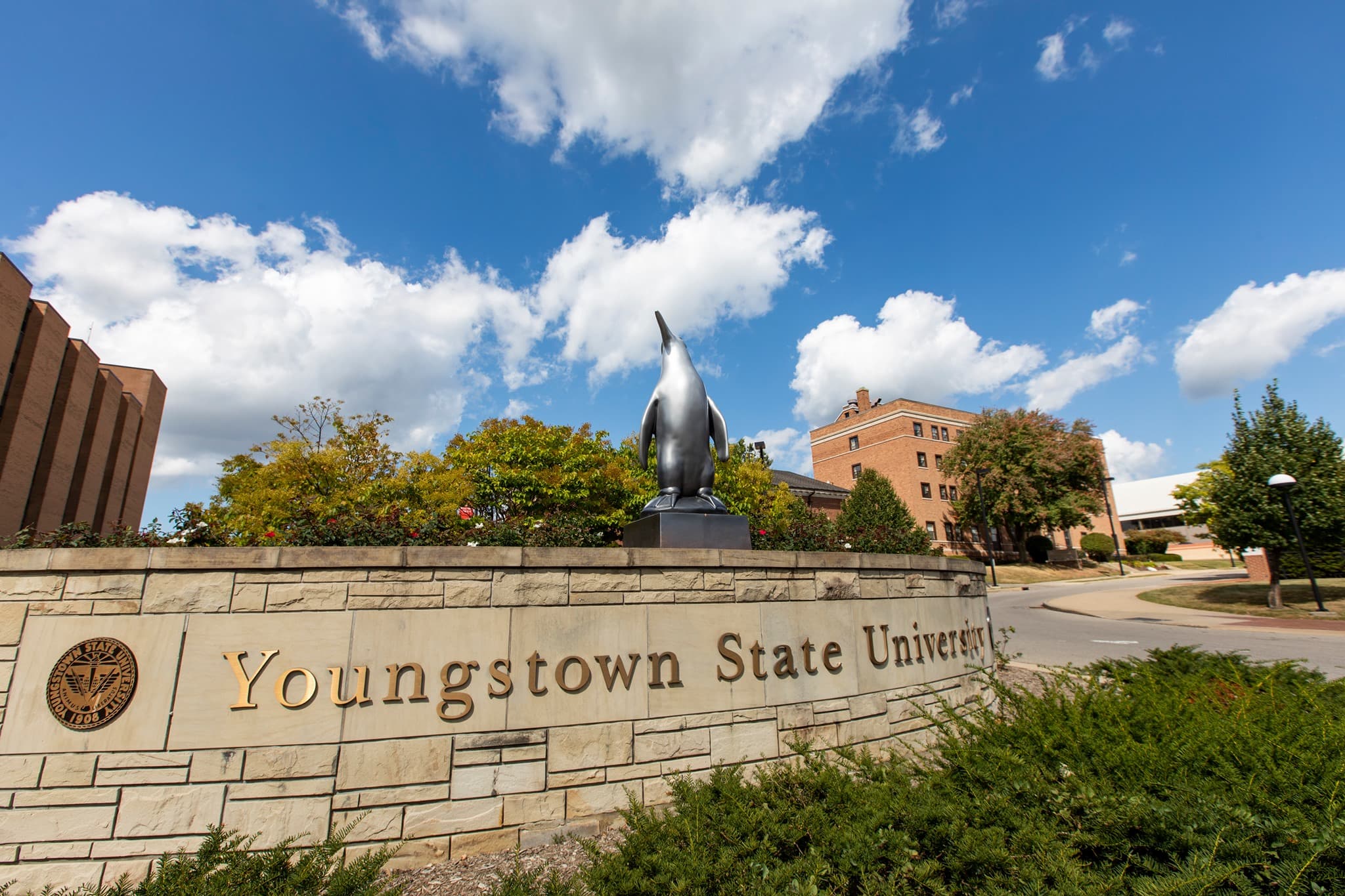 Youngstown State University campus